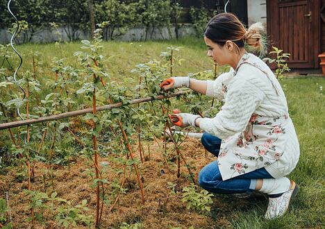 13 consigli per rendere il giardinaggio primaverile più piacevole
